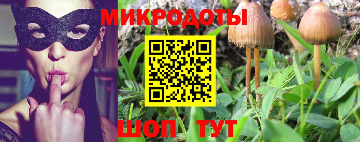 Кириши  Галлюциногенные грибы GOLDEN TEACHER  Вход с VPN 