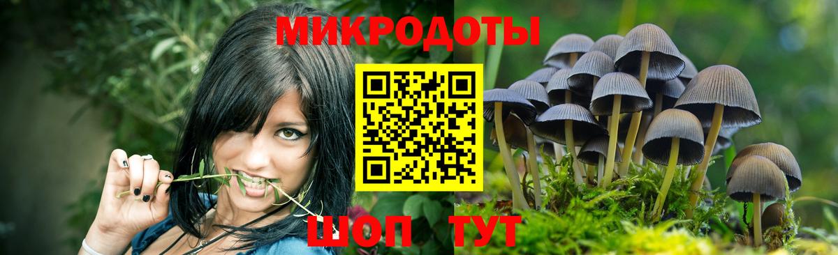 Галлюциногенные грибы мухоморы Кириши